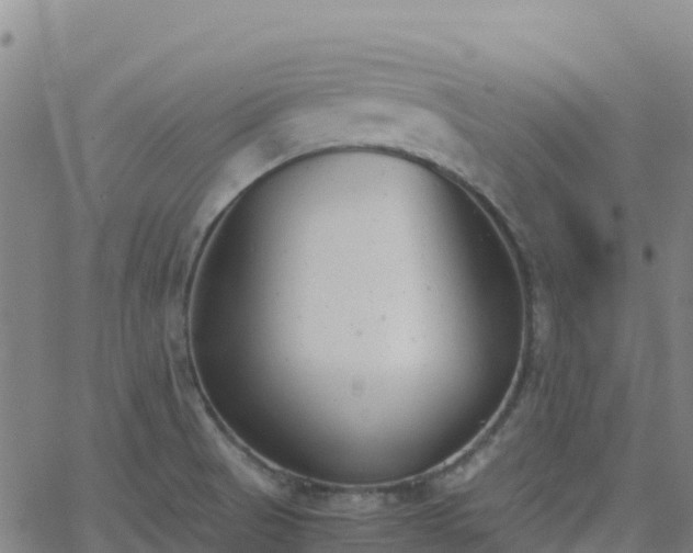 X0000062671521200512230933