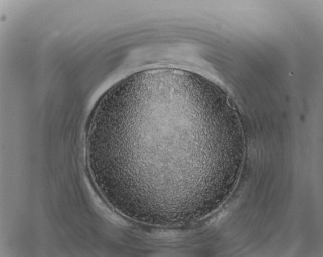 X0000062671522200512230933