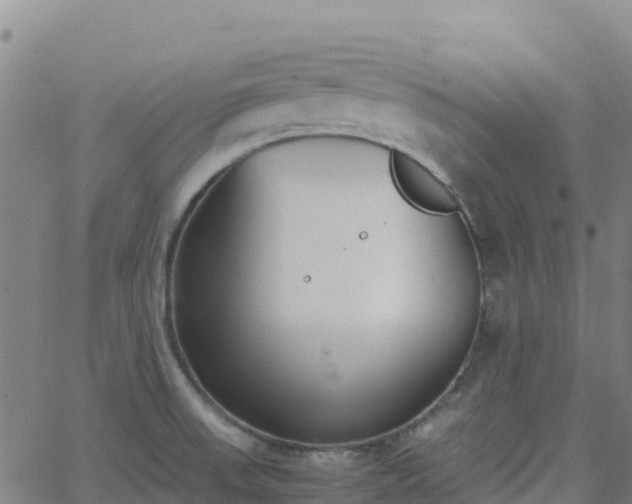 X0000062671523200512230933