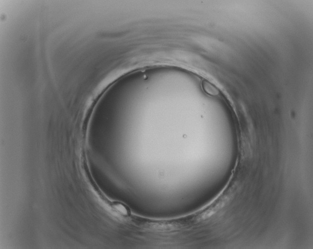 X0000062671525200512230934