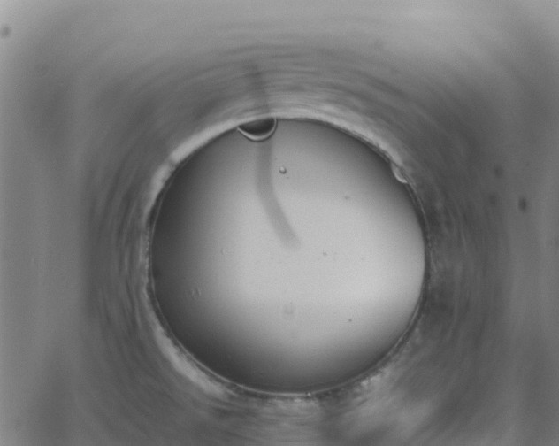 X0000062671526200512230934