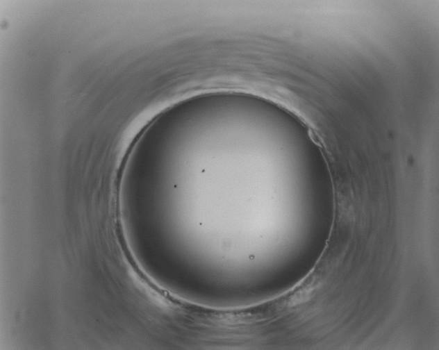 X0000062671527200512230934