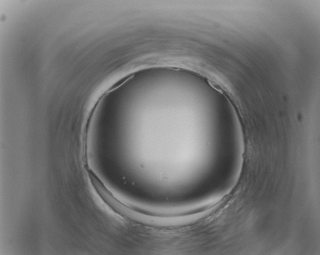 X0000062671528200512230934