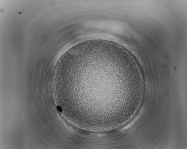 X0000062671529200512230934