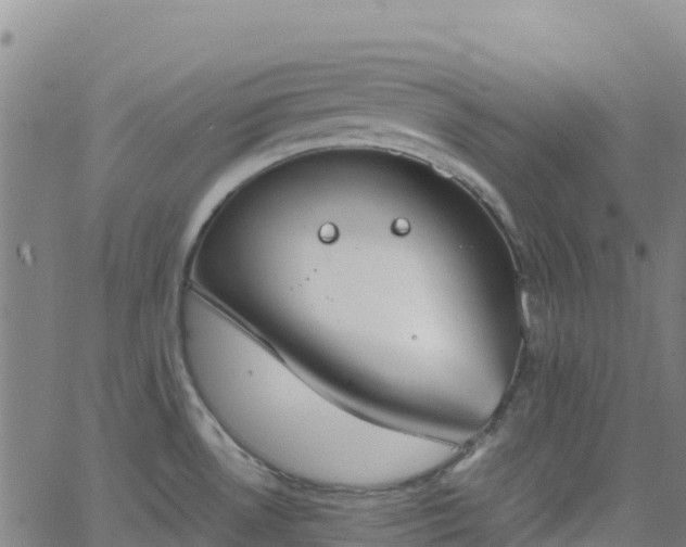 X0000062671530200512230934