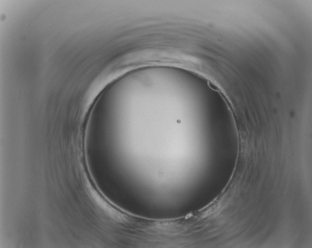 X0000062671531200512230934