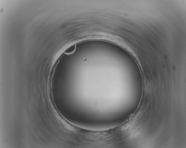 X0000062671533200512230934