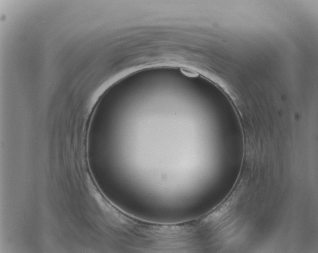 X0000062671534200512230934