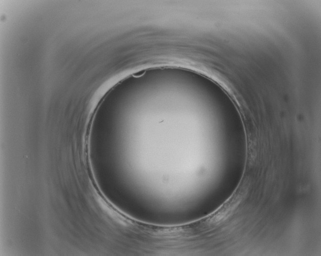 X0000062671535200512230934