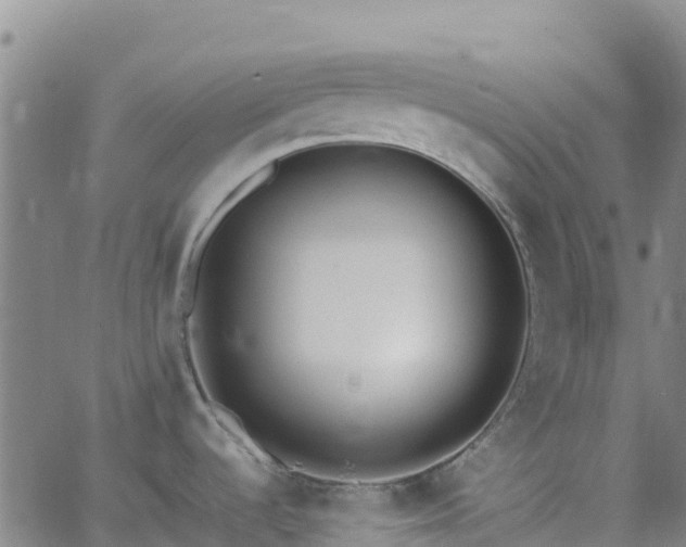 X0000062671536200512230934