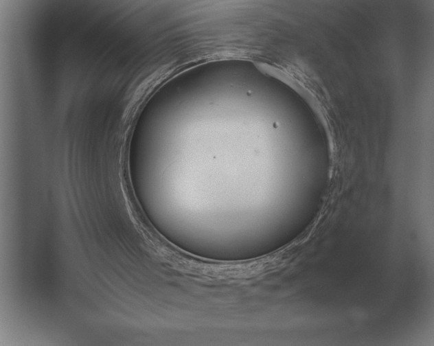 X0000062670001200512281751