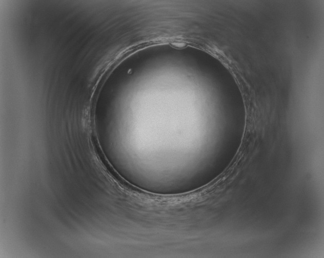 X0000062670002200512281751