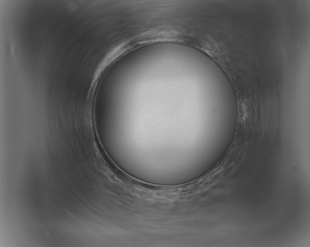 X0000062670004200512281751