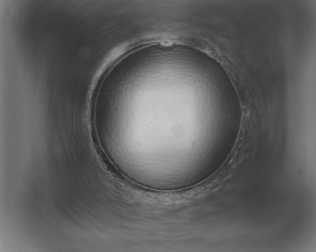 X0000062670006200512281751