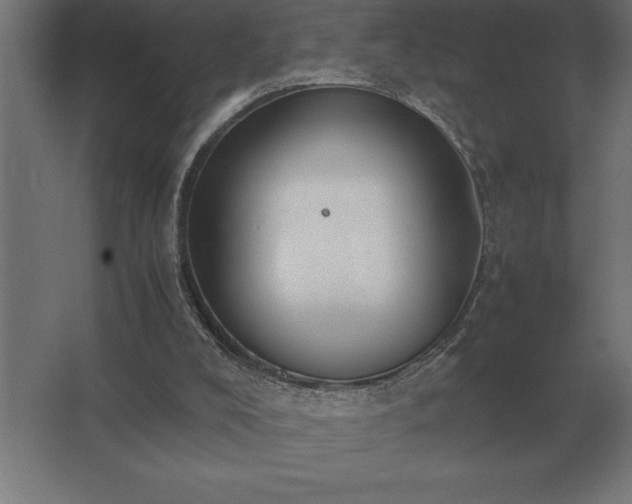 X0000062670008200512281751