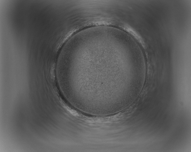 X0000062670009200512281751