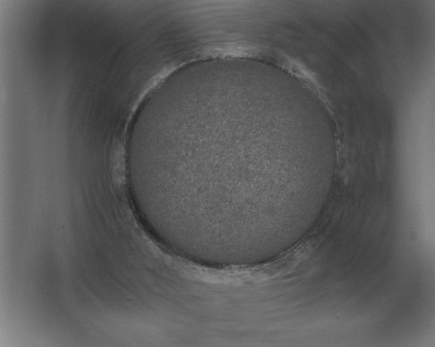 X0000062670012200512281751