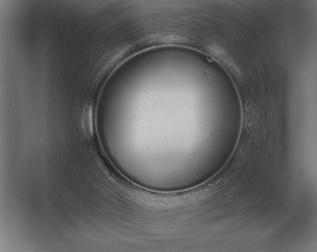 X0000062670014200512281751