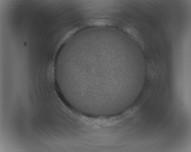 X0000062670016200512281751