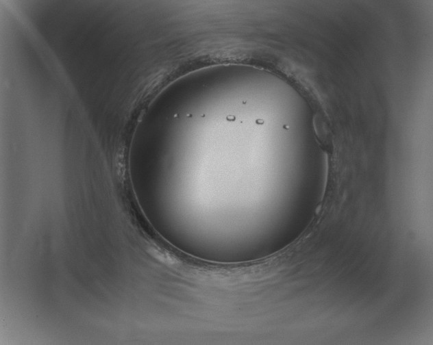 X0000062670017200512281751