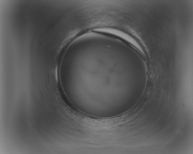 X0000062670019200512281751