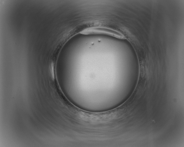 X0000062670022200512281751