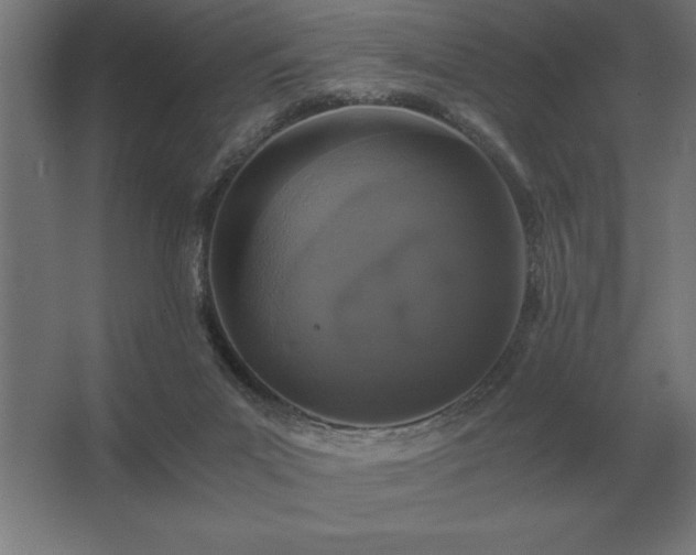 X0000062670023200512281751