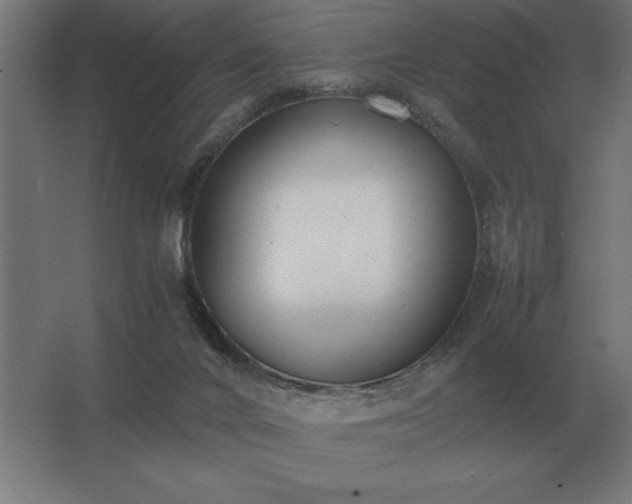 X0000062670024200512281751