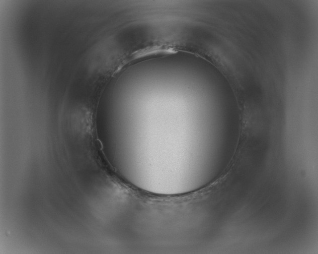 X0000062670025200512281751