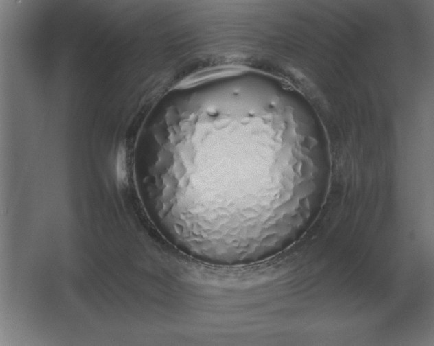 X0000062670026200512281751