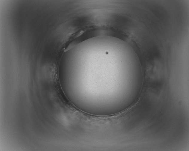 X0000062670029200512281751