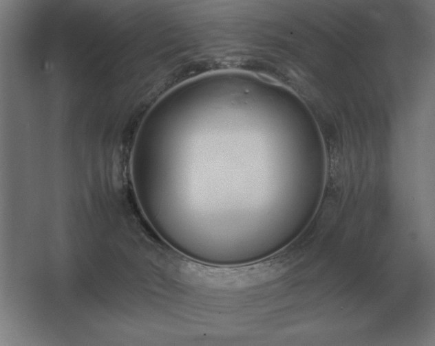 X0000062670030200512281751