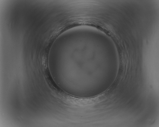 X0000062670031200512281751