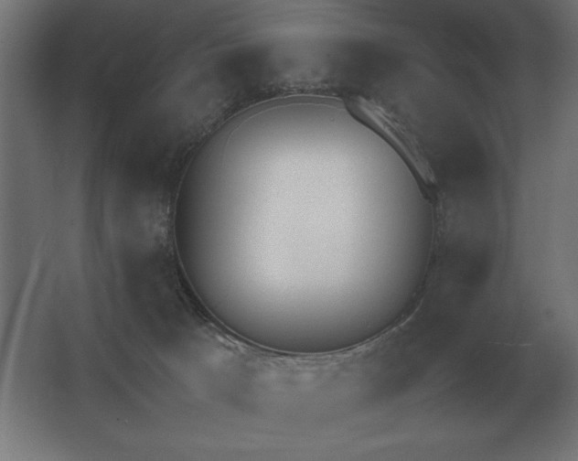 X0000062670033200512281751