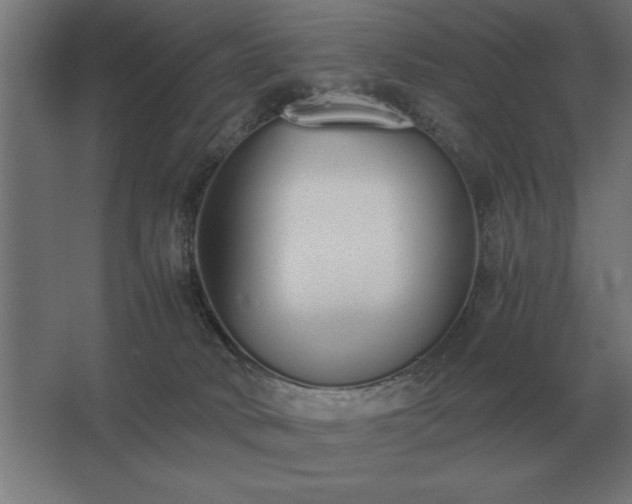 X0000062670034200512281751