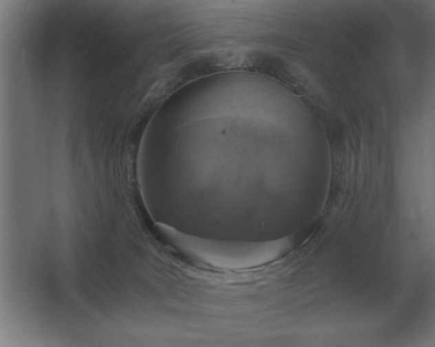 X0000062670035200512281751