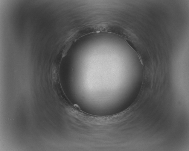 X0000062670037200512281751