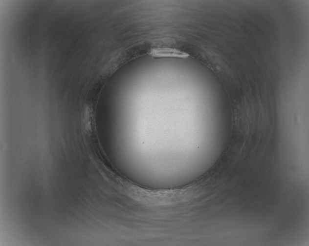 X0000062670038200512281751