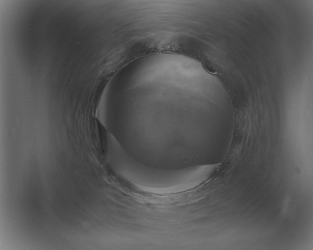 X0000062670039200512281751