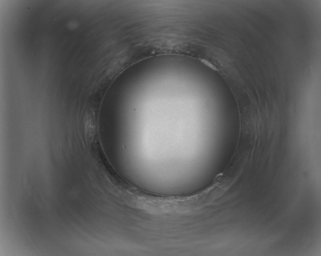 X0000062670040200512281751