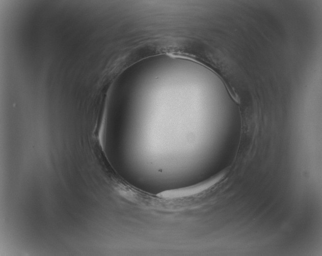 X0000062670041200512281751