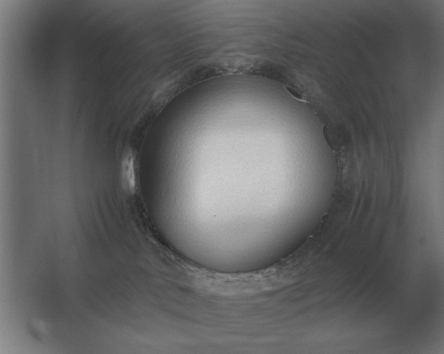 X0000062670042200512281750