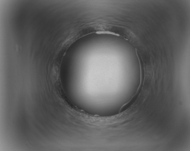 X0000062670043200512281750