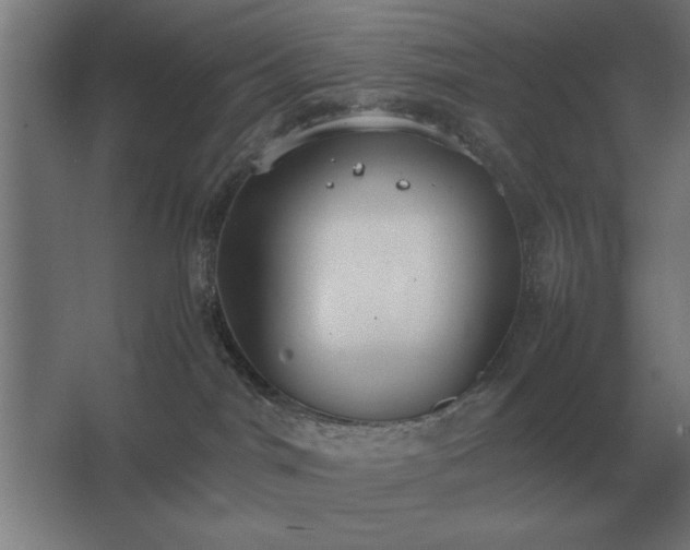 X0000062670044200512281750