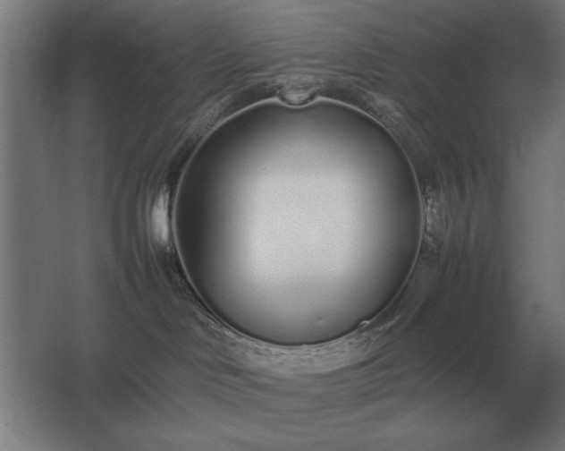 X0000062670046200512281750