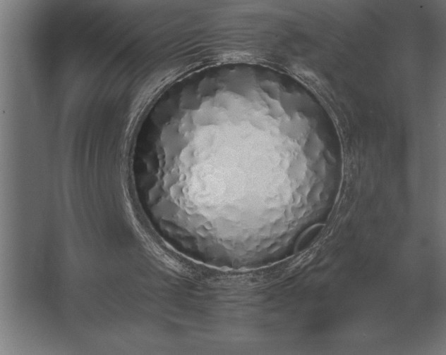 X0000062670049200512281750