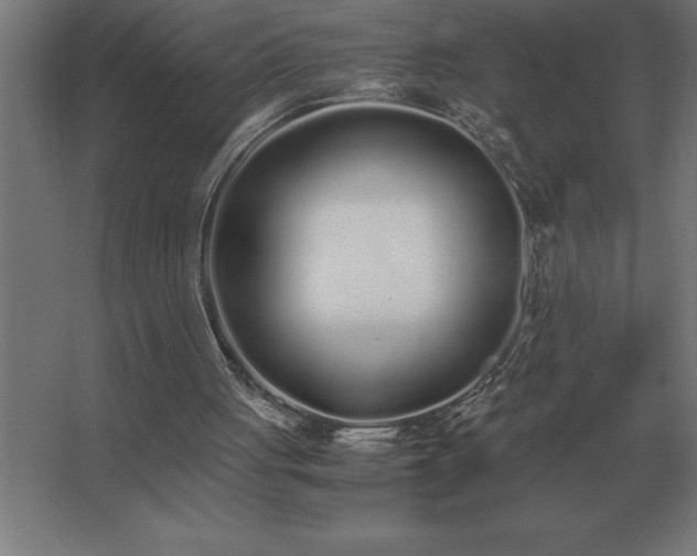 X0000062670051200512281750