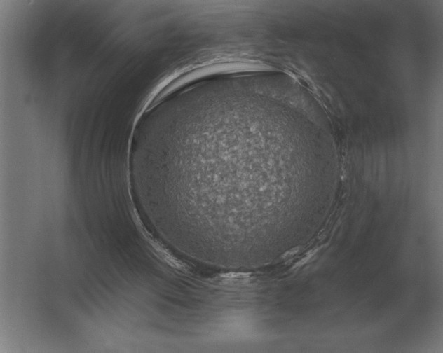 X0000062670052200512281750