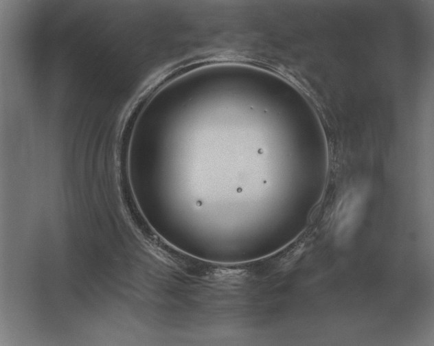 X0000062670055200512281750