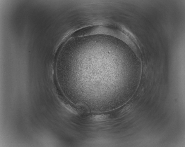 X0000062670059200512281750